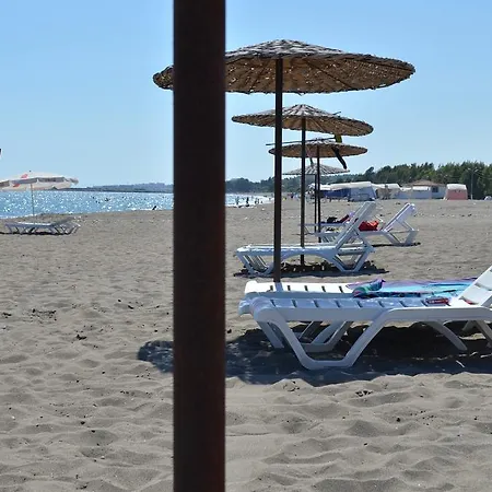 Denizkumu